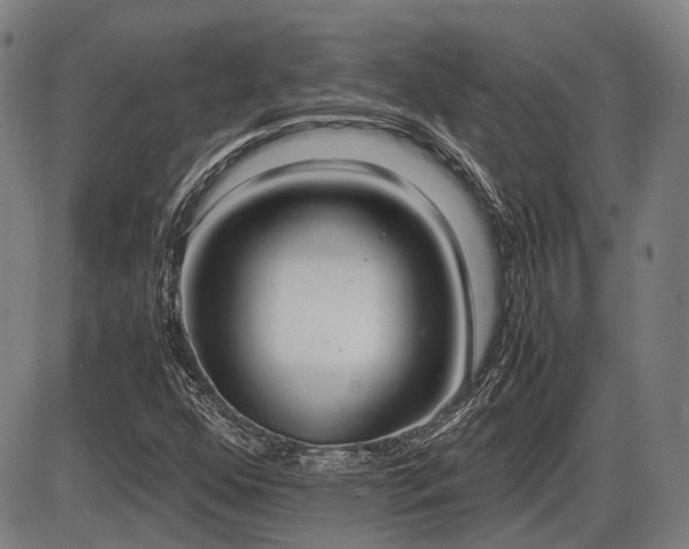 X0000086331352200703301219