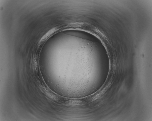 X0000086331354200703301219