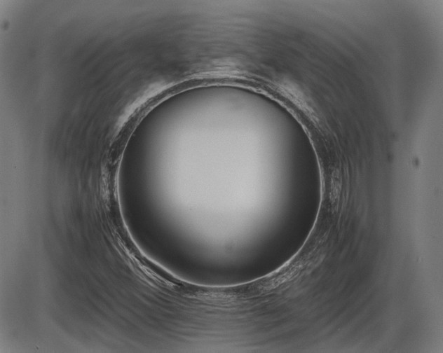 X0000086331356200703301219