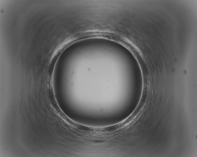 X0000086331357200703301219