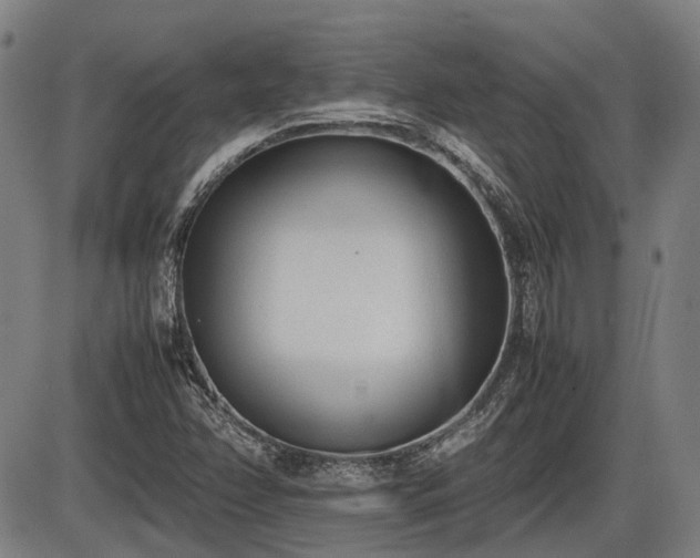 X0000086331358200703301219