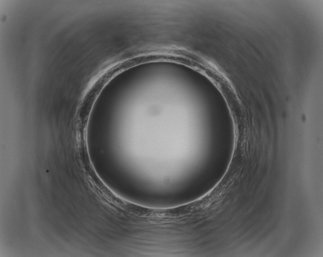 X0000086331360200703301219
