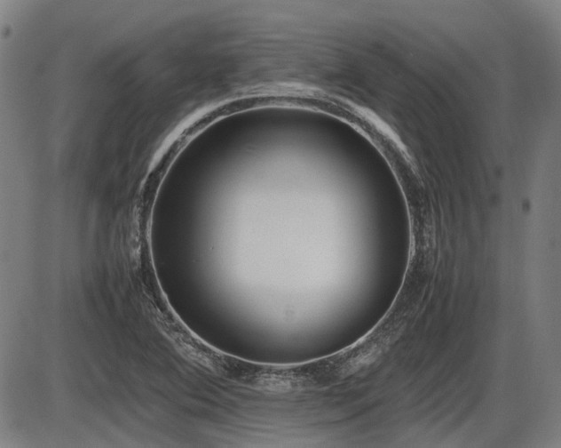 X0000086331364200703301219