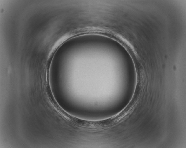 X0000086331365200703301219