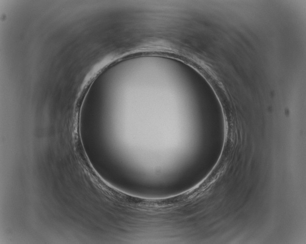 X0000086331366200703301219