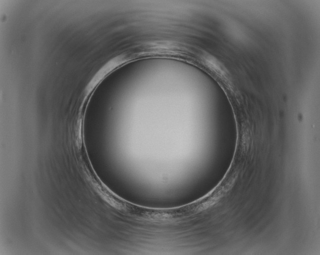 X0000086331370200703301219