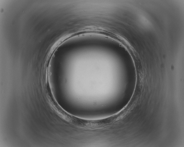 X0000086331371200703301219