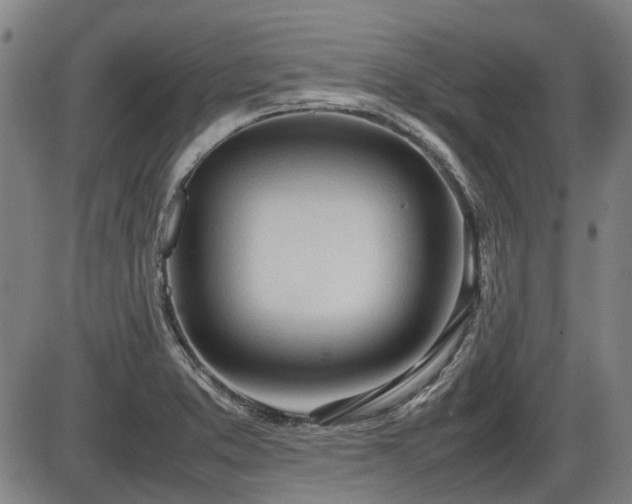 X0000086331373200703301219
