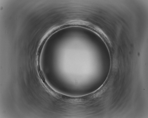 X0000086331376200703301219