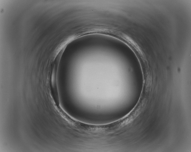 X0000086331377200703301219