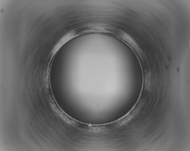 X0000086331378200703301219