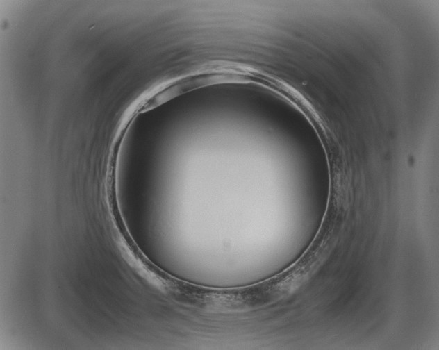 X0000086331379200703301219