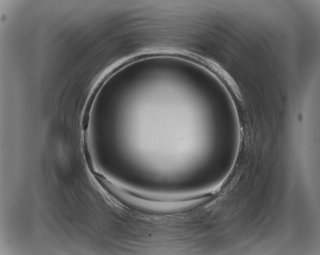 X0000086331380200703301219