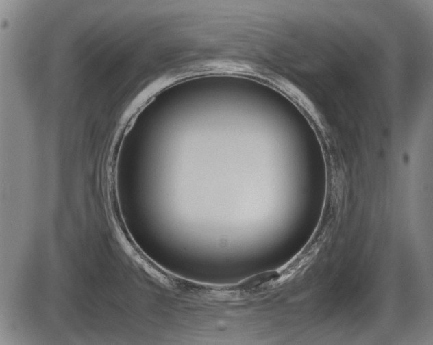 X0000086331381200703301219