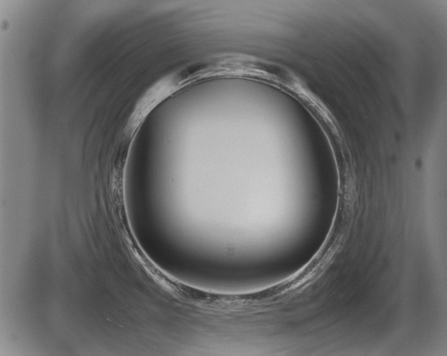X0000086331385200703301219