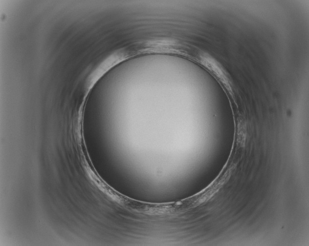 X0000086331386200703301219