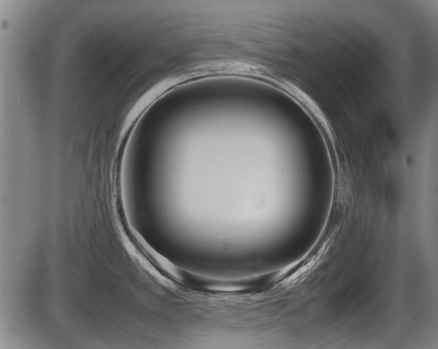 X0000086331389200703301219
