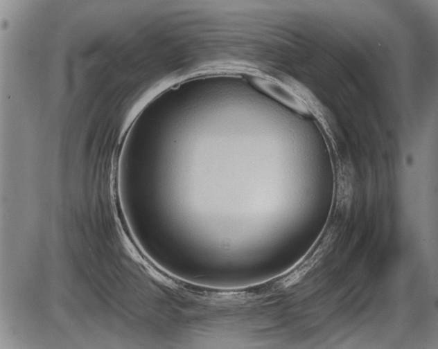 X0000086331390200703301218