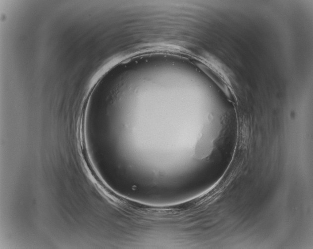 X0000086331391200703301218
