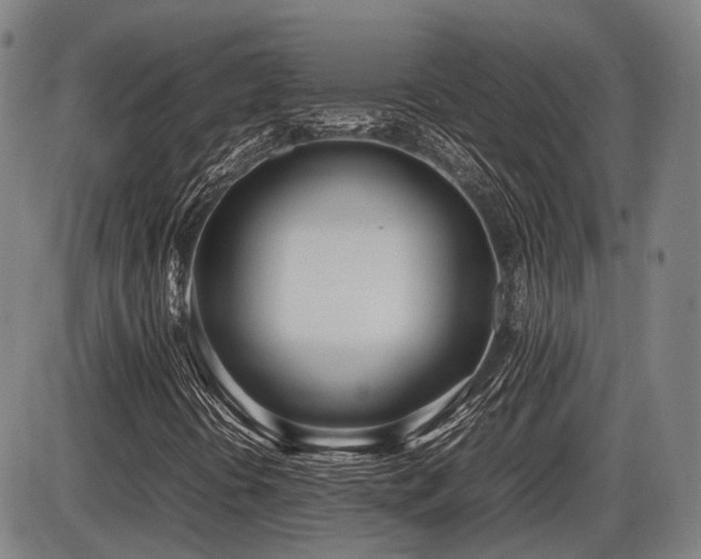 X0000086331394200703301218