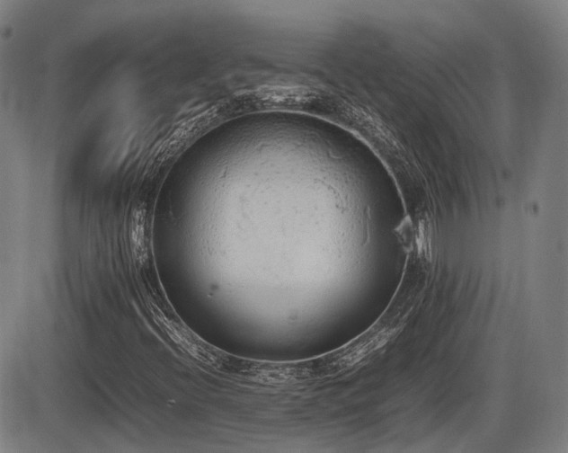 X0000086331396200703301218
