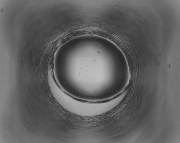 X0000086331398200703301218