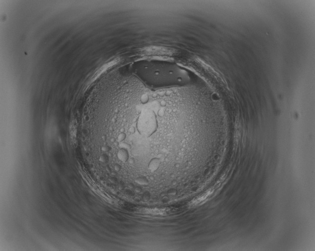 X0000086331401200703301218