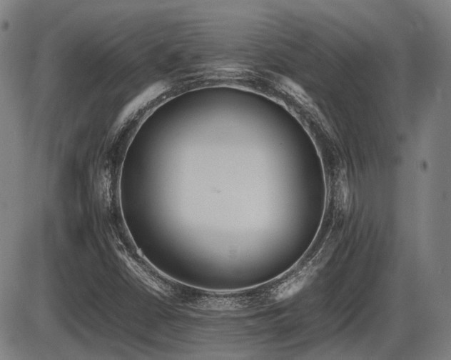 X0000086331402200703301218