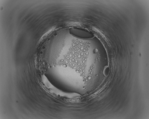 X0000086331403200703301218