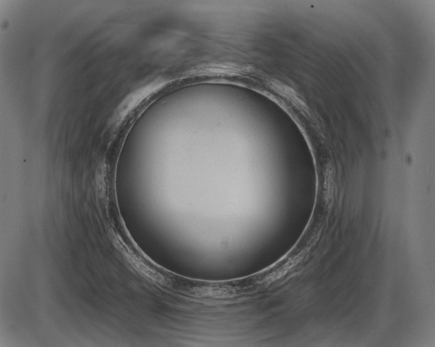 X0000086331404200703301218