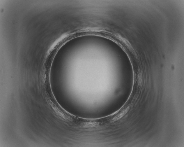X0000086331406200703301218