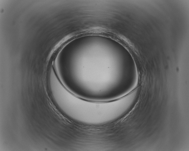 X0000086331410200703301218