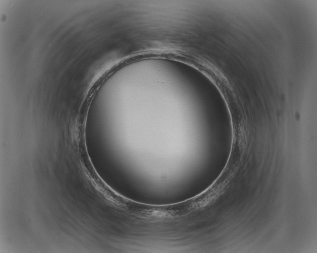 X0000086331412200703301218