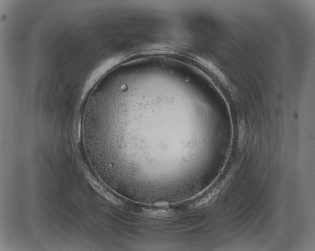 X0000086331413200703301218