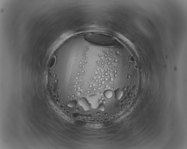 X0000086331415200703301218