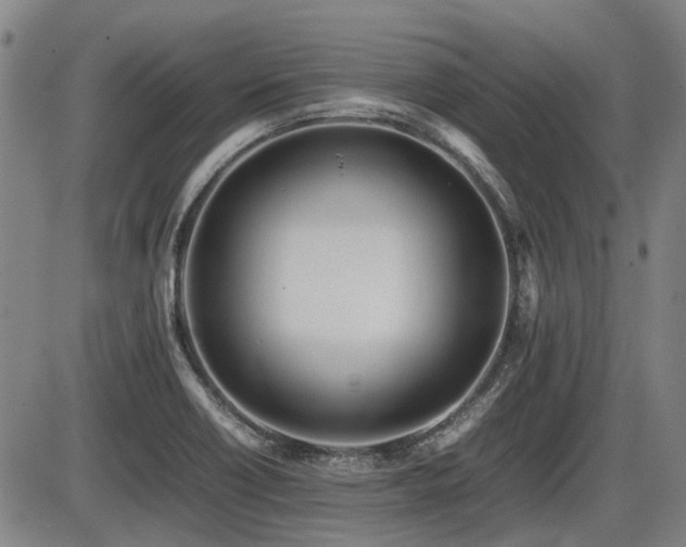 X0000086331418200703301218