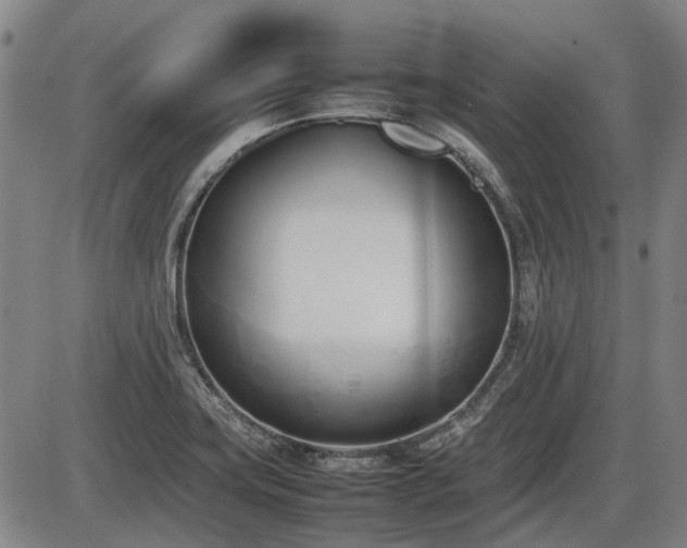 X0000086331419200703301218