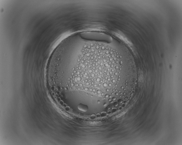 X0000086331423200703301218