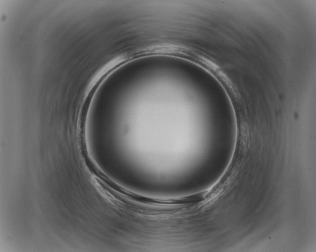 X0000086331426200703301218