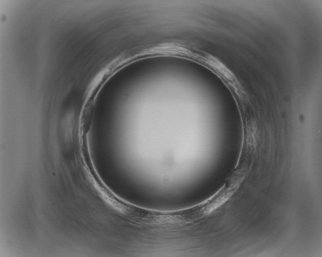 X0000086331430200703301218