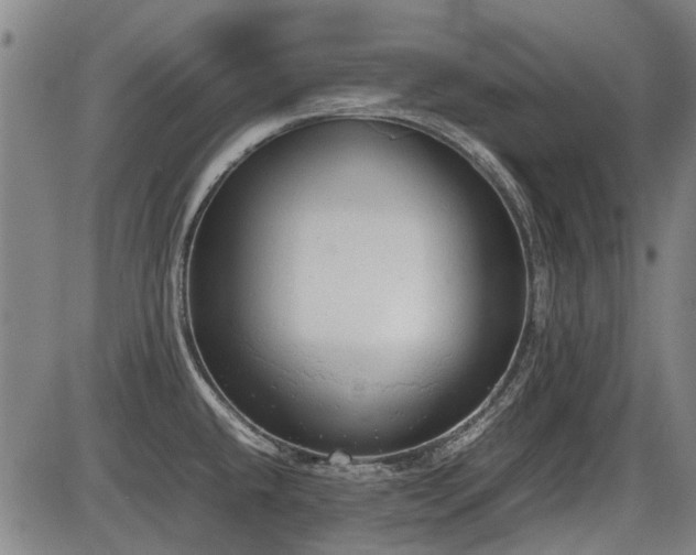 X0000086331432200703301218