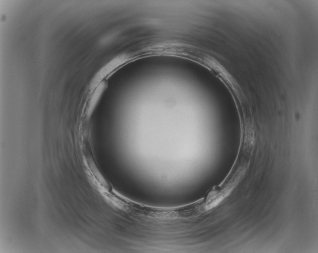 X0000086331434200703301218