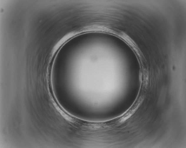 X0000086331438200703301218
