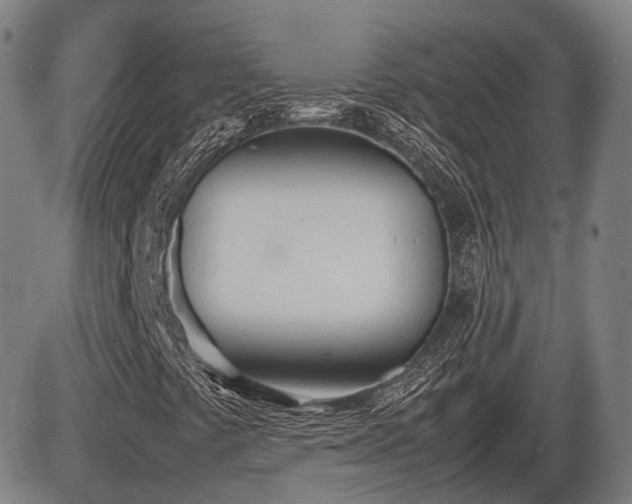 X0000086331441200703301218