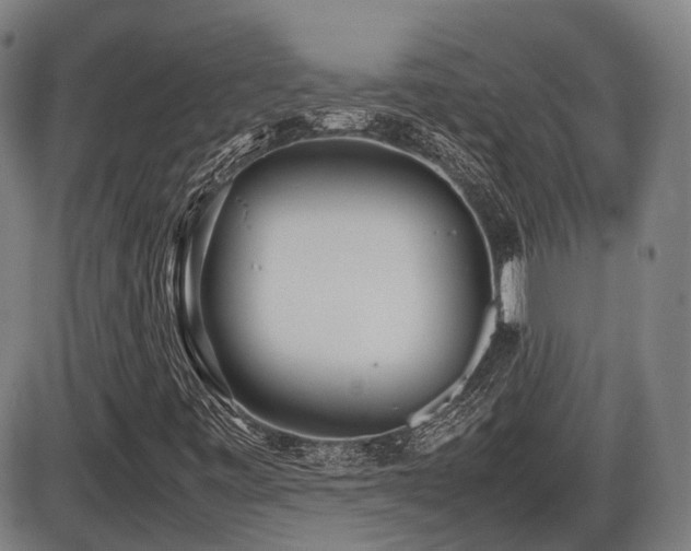 X0000086331443200703301218