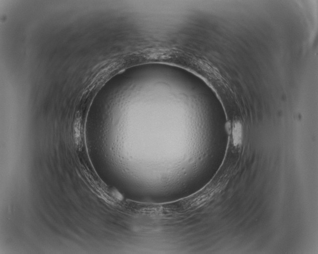 X0000086331444200703301218