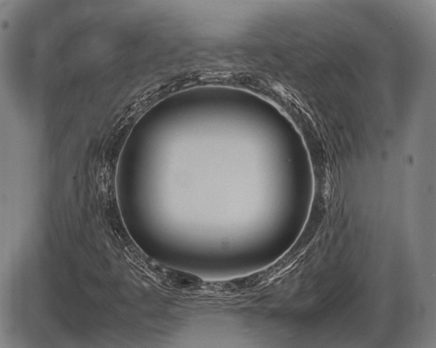 X0000086331445200703301218