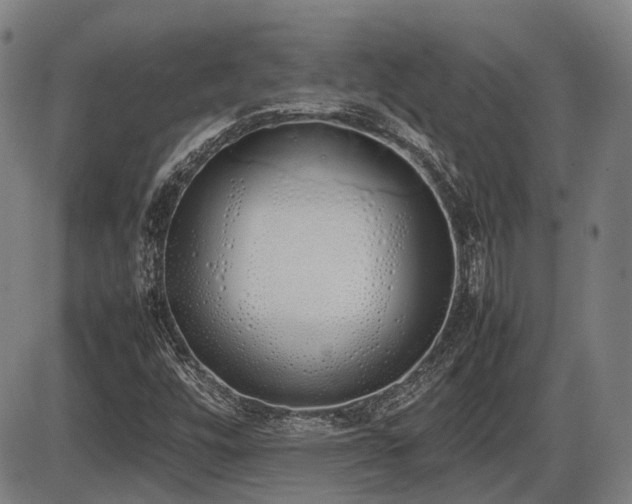 X0000086331448200703301218