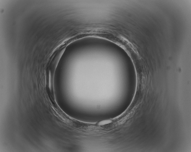 X0000086331449200703301218
