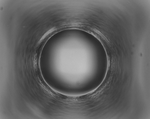 X0000086331450200703301217